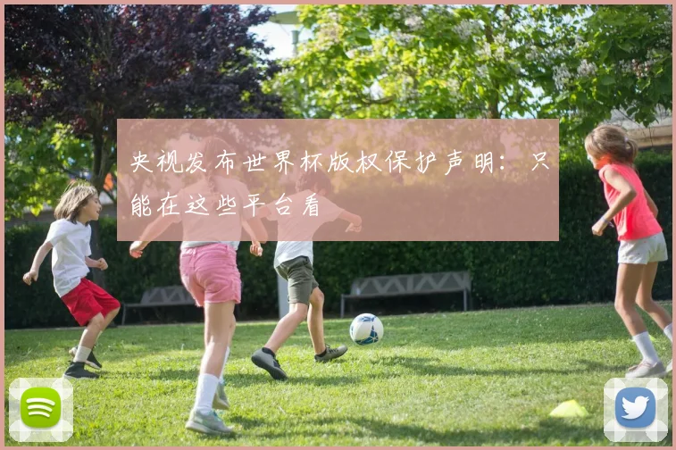 央视发布世界杯版权保护声明:只能在这些平台看